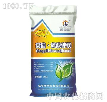 �߹�������V