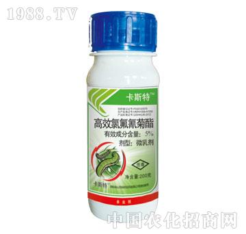 �G�S-��˹��-��Ч�ȷ������