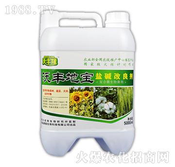 ���S�،����}�A��������-���S¡-��