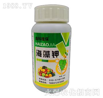 �����-�ο�ֲ��