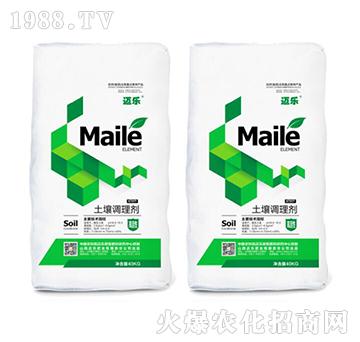 �����{(di��o)�턩-�~��(l��)