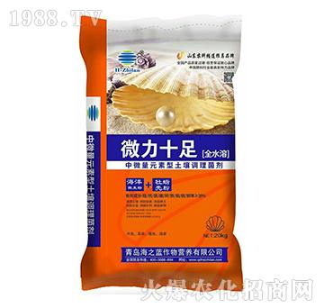 ȫˮ����΢��Ԫ�ط�-΢��ʮ��-��֮�{