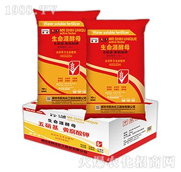 ���������S���������Դ��ĸ�����b��-���Z-ꖹ⻯��