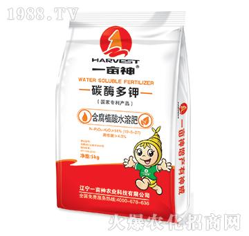 ����ֲ��ˮ�ܷ�-̼ø���-һ����