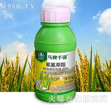 40%�������-�R��ǧ��-�к����_