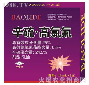 25%���򡤸��ȷ�-�����Ѻ�