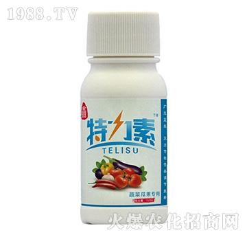 �߲˹Ϲ���(zhu��n)��-������-�{(l��n)���r(n��ng)��