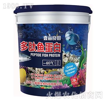 �����~(y��)����-Ҽ������