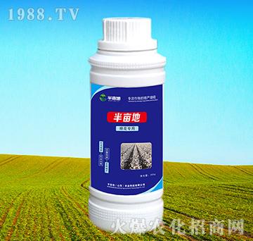 �޻������~���-�뮀��