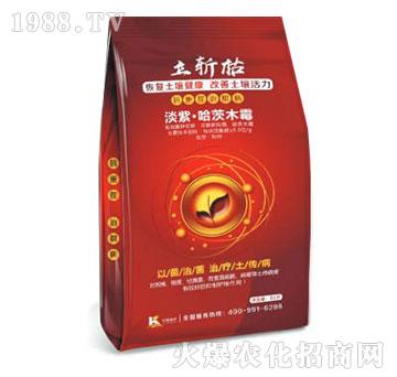 ���ϡ�����ľù��-���ؿ�-����ֲ��