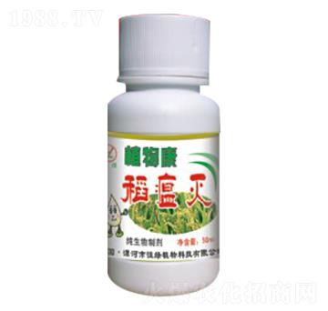 ������-ֲ�￵-��Gֲ��