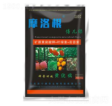 �VԴ�S�����+�~�G��+�|̦��-�����G-���A����