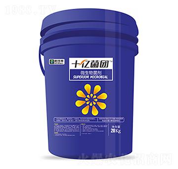 ΢�������-ʮ�|���F-�����Ƽ�