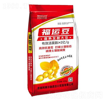 ����l(f��)�ʹ�-���\(y��n)��-���{����