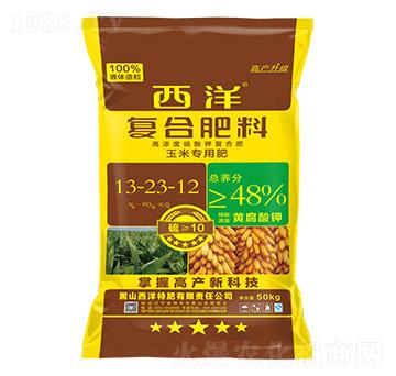 ���׌��Ï�(f��)�Ϸ���13-23-12-����ʘI(y��)