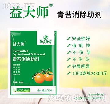 ��̦��������-���-��������