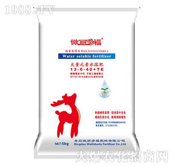 ����Ԫ��ˮ�ܷ�13-6-40+TE-΢���ร