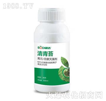 ����̦-�T�_