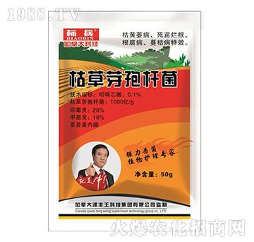 �ݲ�ѿ�ߗU��-�˱�-���S��