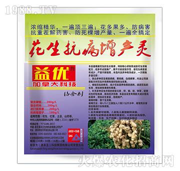 �����������a�`-�惞(y��u)-���S��