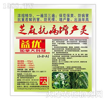 ֥�鿹�����a�`-�惞(y��u)-���S��