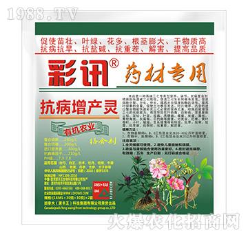 ˎ�Č��ÿ������a�`-��Ӎ-���S��