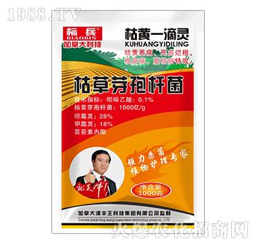 �ݲ�ѿ�ߗU��-���Sһ���`-���S��