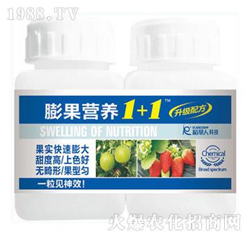 ����I�B(y��ng)1+1-������