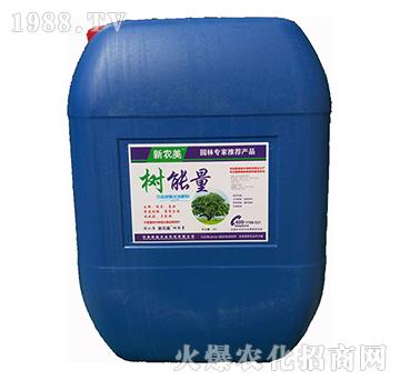 ������-���r��-�³�