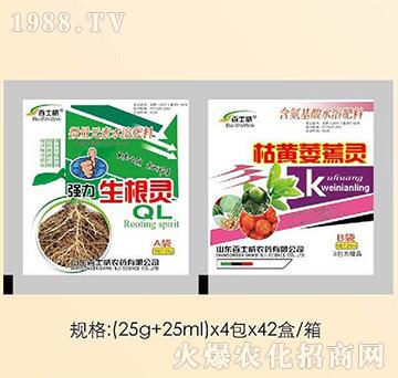 ���������`�����Sή���`-��ʿ��