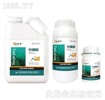 �}�𴼡����_����