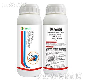 29%������-���N����