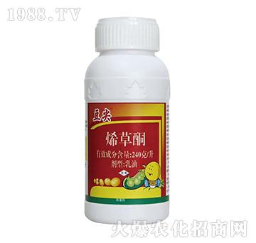 ϩ��ͪ-����-�P������