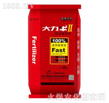 �������ͺ����Ǵ��-����ţII-������-�Є�(chu��ng)���r(n��ng)