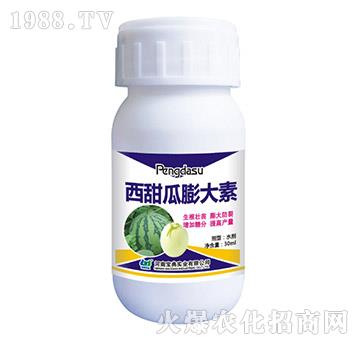 ����������-���䌍(sh��)�I(y��)