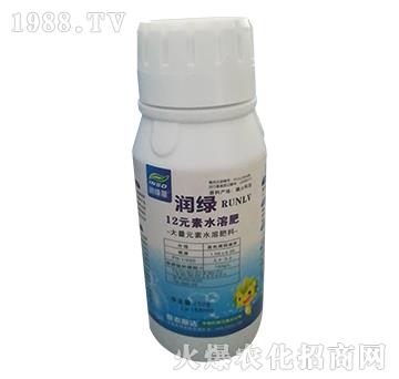 12Ԫ��ˮ�ܷ�-��(r��n)�G-��(��i)�r(n��ng)˹�_(d��)