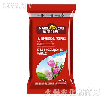 �����ʹ���Ԫ��ˮ�ܷ���5-52-5+0.2MgO+TE-�~���~��