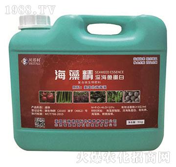 ���徫��~(y��)����-ؐ����