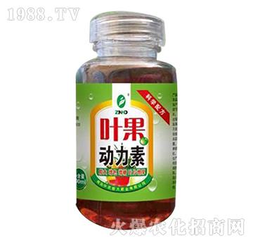 �~��������-���r���