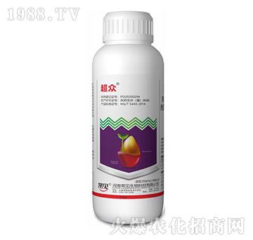 ���x�-����-��Ҋ����