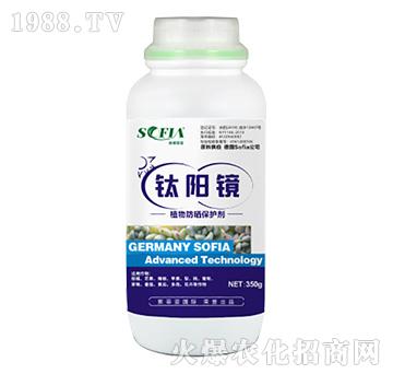 ֲ������o��-���R-���Ɓ�