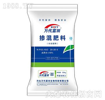 �LЧ��ጓ������20-20-20-�f������