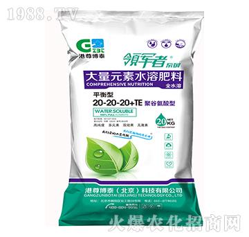 ƽ���ʹ���Ԫ��ˮ�ܷ���20-20-20+TE-����̩