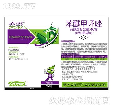 40%���Ѽ׭h(hu��n)��-�Ȳ�-̩�̻���