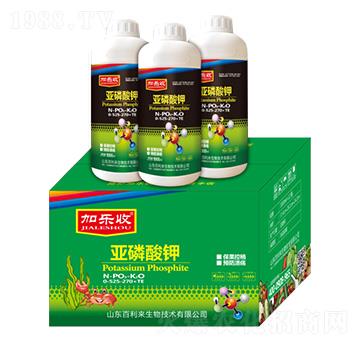 �������0-525-270+TE-�Ә���-������(l��i)