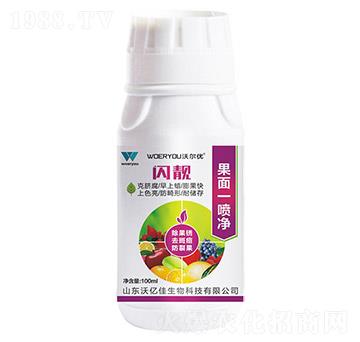 ����һ����-�W�n-�֠���(y��u)