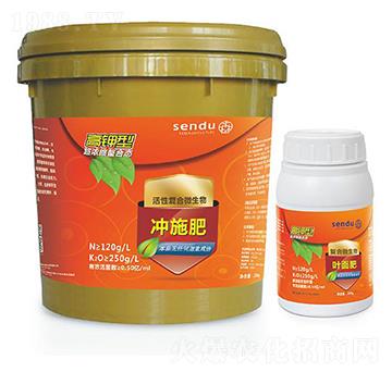 ����͏�(f��)��΢�����-ɭ��