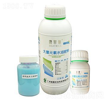 �̴�ʩ����Ԫ����� ����r(n��ng)�I(y��)