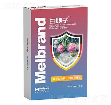 �׷۲����P����Ч ������ ������