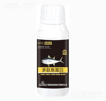 �����~(y��)����-�A������